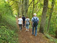Spaziergang auf dem Willibaldsburg und Frauenbergkapelle (3)