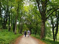 Spaziergang auf dem Willibaldsburg und Frauenbergkapelle (8)