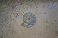 Tag 2 - Eichstätt (9)