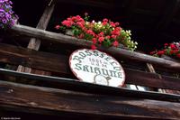 Roßfeldpanoramastraße - Roßfeld Skihütte