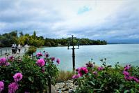 Blick auf die Insel Mainau