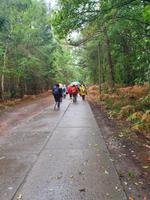 Wanderung Wieck-Born-Ahrenshoop 