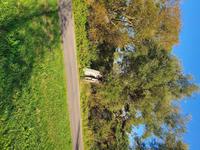 kleiner Park direkt vor dem Hotel