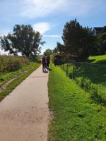 Wanderweg am Bodden in Althagen