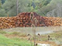 Andernach Kaltwasser Geysir