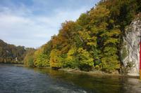 Donaudruchbruch Schifffahrt von Kelheim bis Kloster Weltenburg (66)