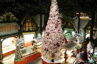 Rothenburg ob der Tauber (65)