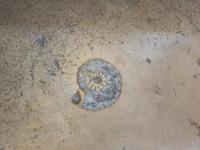 Stadtführung in Eichstätt (8)