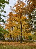 Stadtführung in Eichstätt (55)