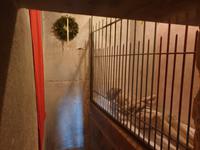 Stadtführung in Eichstätt (61)