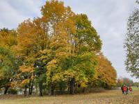 Spaziergang am Nachmittag in Eichstätt (10)