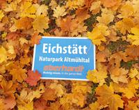 Spaziergang am Nachmittag in Eichstätt (18)