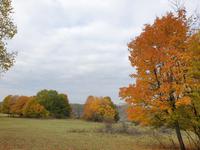 Spaziergang am Nachmittag in Eichstätt (19)