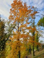 Spaziergang am Nachmittag in Eichstätt (34)