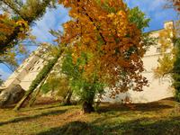 Spaziergang am Nachmittag in Eichstätt (36)