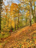 Spaziergang am Nachmittag in Eichstätt (37)