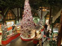 Rothenburg ob der Tauber (6)