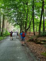 Wanderung durch den Darßer Urwald