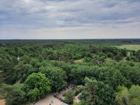 Leuchtturm Darßer Ort (Blickrichtung Süd) - Aussicht auf den Darßwald