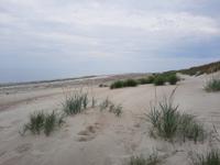 Darßer Ort - Weststrand