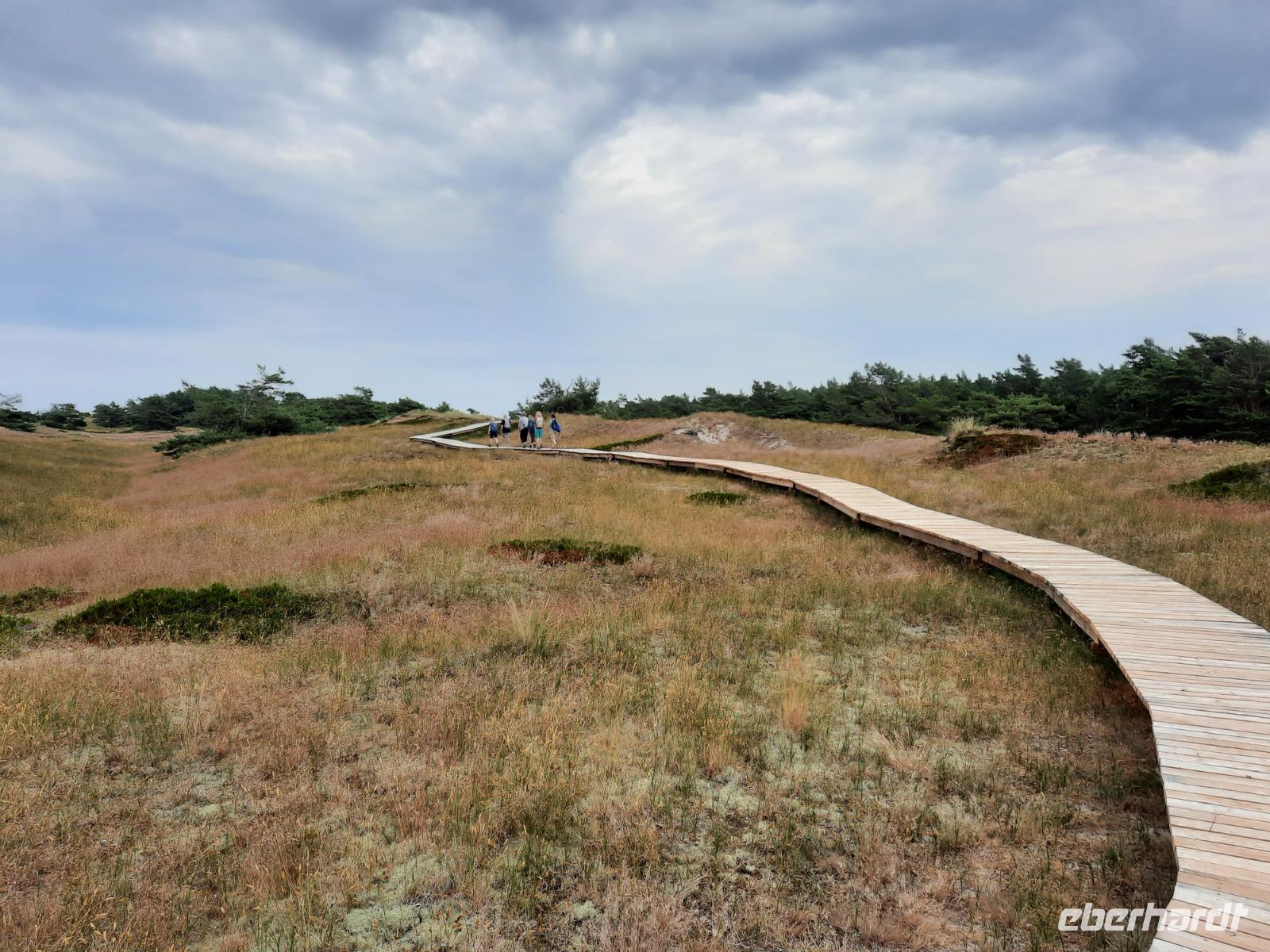 Rundwanderweg Darßer Ort