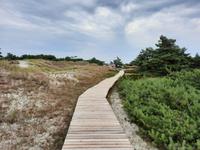 Rundwanderweg Darßer Ort