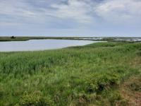 Rundwanderweg Darßer Ort