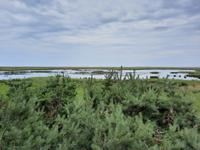 Rundwanderweg Darßer Ort