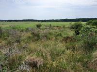 Rundwanderweg Darßer Ort