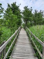 Rundwanderweg Darßer Ort