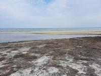 Rundwanderweg Darßer Ort