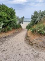 Wanderung von Wustrow nach Ahrenshoop (Hohes Ufer)