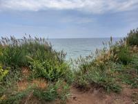 Wanderung von Wustrow nach Ahrenshoop (Hohes Ufer)