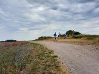 Wanderung von Wustrow nach Ahrenshoop (Hohes Ufer) - Bakelberg