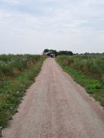 Wanderung von Wustrow nach Ahrenshoop (Hohes Ufer)