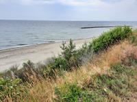 Wanderung von Wustrow nach Ahrenshoop (Hohes Ufer)