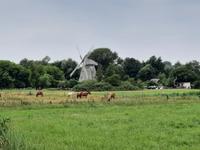 Ahrenshoop - Windmühle