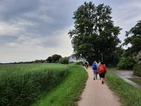 Bodden-Wanderung von Althagen nach Wustrow