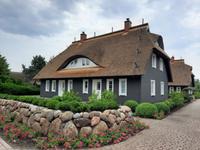 Bodden-Wanderung von Althagen nach Wustrow