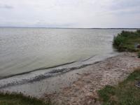 Bodden-Wanderung von Althagen nach Wustrow