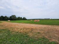 Bodden-Wanderung von Althagen nach Wustrow