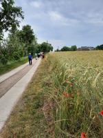 Bodden-Wanderung von Althagen nach Wustrow