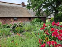 Bodden-Wanderung von Althagen nach Wustrow