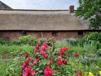 Bodden-Wanderung von Althagen nach Wustrow