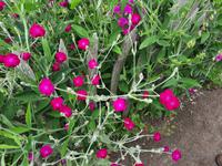 Bodden-Wanderung von Althagen nach Wustrow