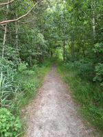 Wanderung  von Graal-Müritz nach Dierhagen 