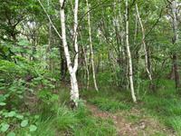 Wanderung  von Graal-Müritz nach Dierhagen 