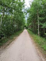 Wanderung  von Graal-Müritz nach Dierhagen 