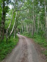 Wanderung  von Graal-Müritz nach Dierhagen 