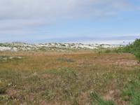 Wanderung  von Graal-Müritz nach Dierhagen 